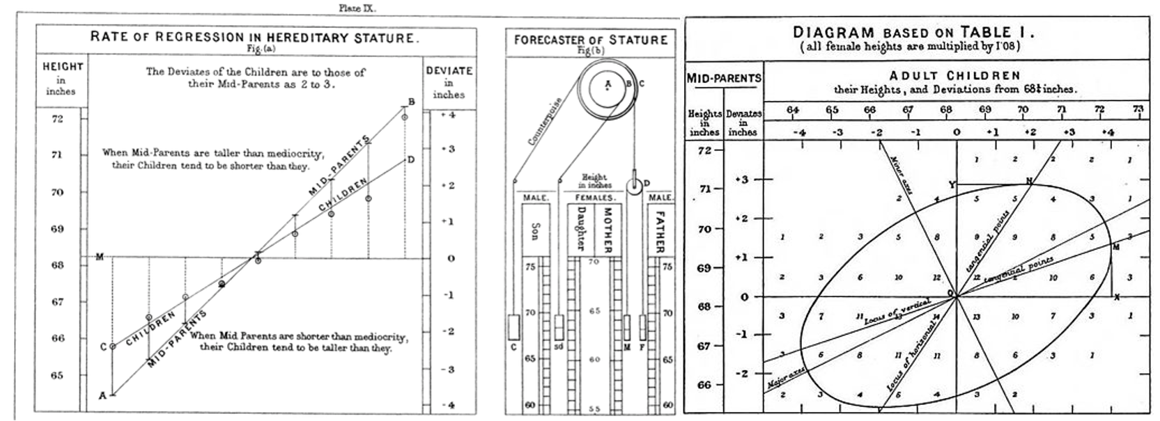 Galton's Regression to the Mean